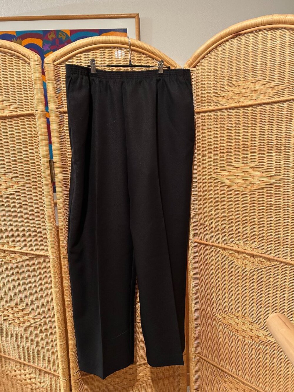 Alfred Dunner Black Pants: Size 20